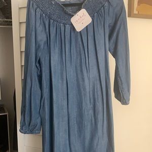 Denim Maternity Dress Brand New XL